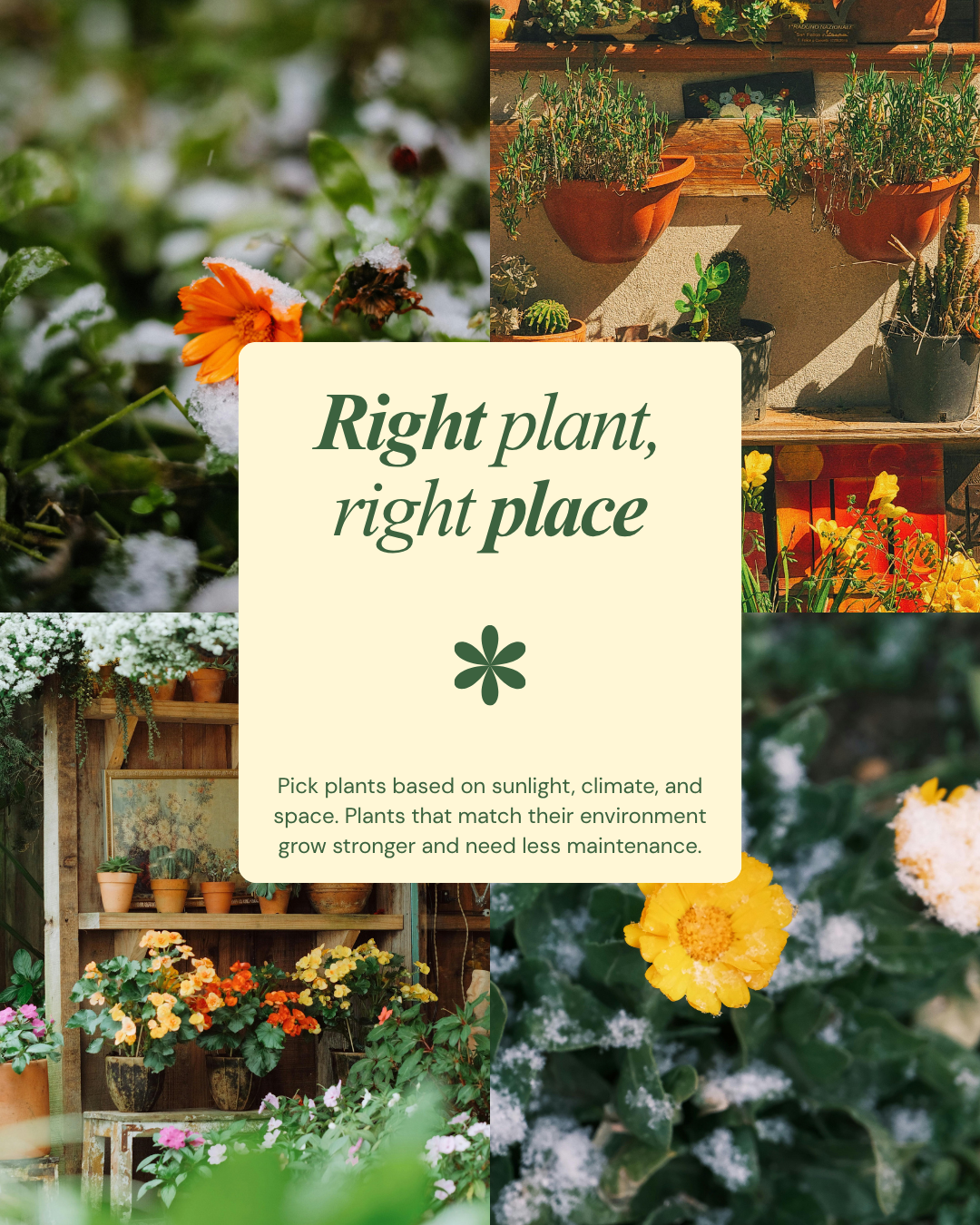 vertical gardening 2nd page