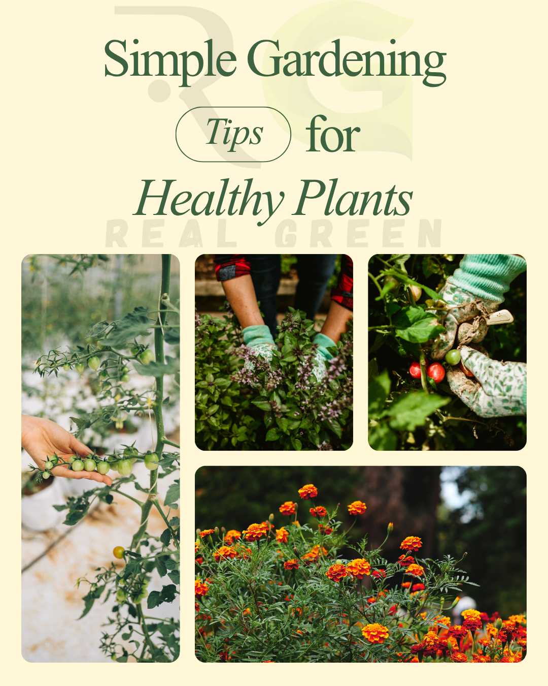 vertical gardening